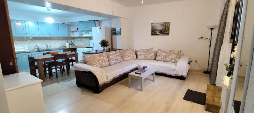 Itea Apartment | Ευρύχωρο και άνετο διαμέρισμα στην Ιτέα Joanna's Apartment