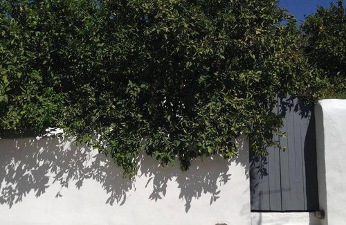 Pythagorio House | 136 m² House ∙ 3 bedrooms ∙ 5 guests