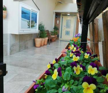 Olymbiaki Akti Apartment | 210 m² Apartment ∙ 2 bedrooms ∙ 5 guests