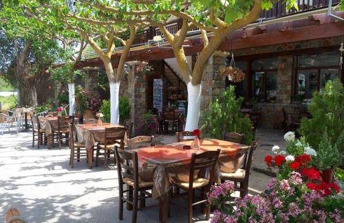 Anopolis Hotel | 25 m² Hotel ∙ 3 guests