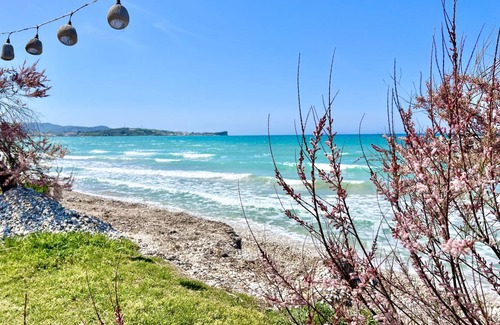 Acharavi Apartment | 35 m² Apartment ∙ 1 bedroom ∙ 3 guests