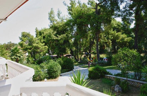 Paliouri Apartment | 35 m² Serviced apartment ∙ 4 guests