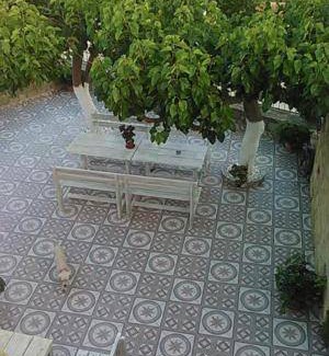 Kissamos Apartment | 50 m² Apartment ∙ 1 bedroom ∙ 4 guests