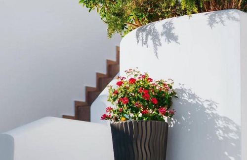 Astypalaia Apartment | 50 m² Serviced apartment ∙ 2 bedrooms ∙ 10 guests