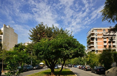 Nea Smirni Apartment | 55 m² Apartment ∙ 1 bedroom ∙ 3 guests