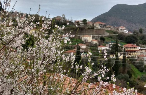 Messaia Other | 60 m² Shared room ∙ 1 bedroom ∙ 3 guests