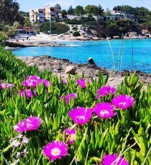 Ormos Agiou Ioannou Apartment | 65 m² Apartment ∙ 2 bedrooms ∙ 5 guests