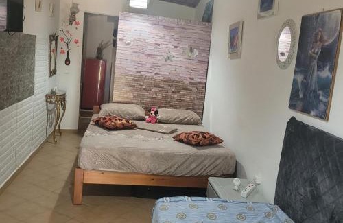 Acharavi House | acharavi αχαράβη stone daisy