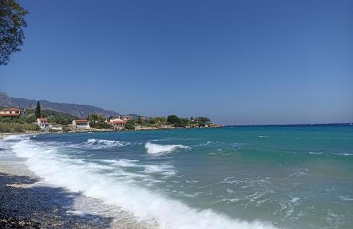 Samos Apartment | Agria Rigani Studios