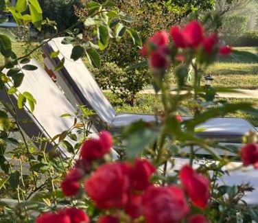 Paliouri Apartment | Alexandra's garden