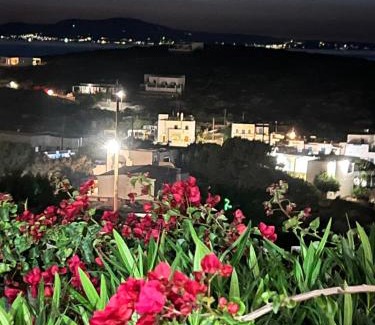 Irakleia Apartment | Alexandra’s studios