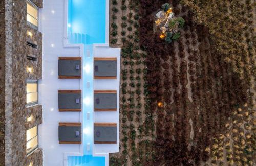 Ftelia Villa | Amuse Villa Mykonos