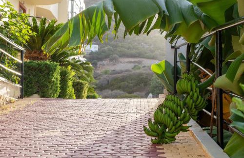 Bali Apartment | Elpis Studio Apartments