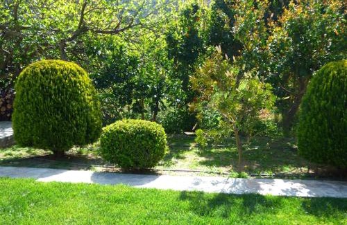 Trygonas Apartment | Garden house No1