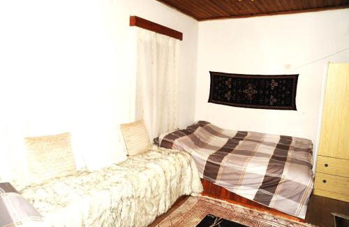 Metsovo House | Isidora House