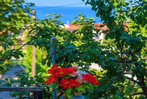 Neo Klima House | Johnie's Villa