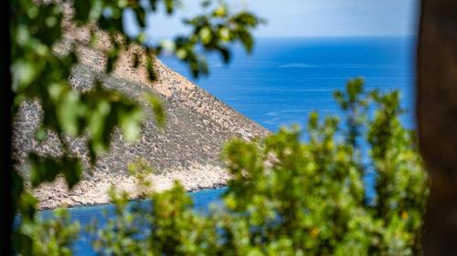 Omales Villa | Kassis Mansion