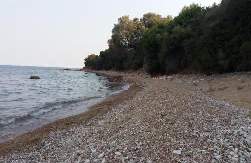 Messini Apartment | Nereids Apartments-Agavi