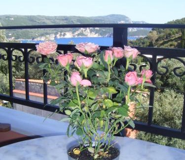 Lakones Apartment | Paradise Apartments