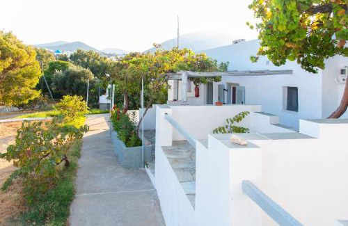 Sifnos House | Themonia