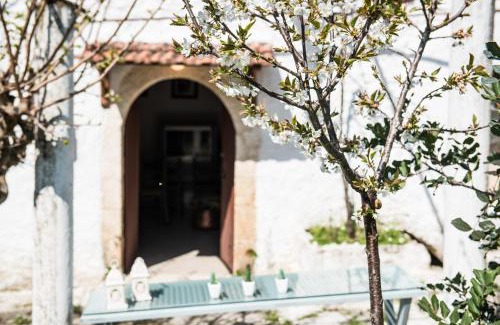 Alikambos House | Traditional House