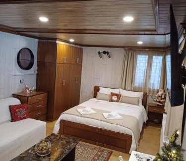 Metsovo Apartment | Ververitsa's House