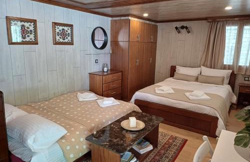 Metsovo Apartment | Ververitsa's House