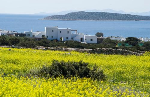 Paros Villa | Villa Theros