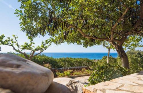 Kithira House | Villa Venus