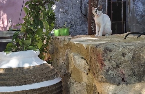 Vryses Apartment | Vrisses Creta -Village vibes