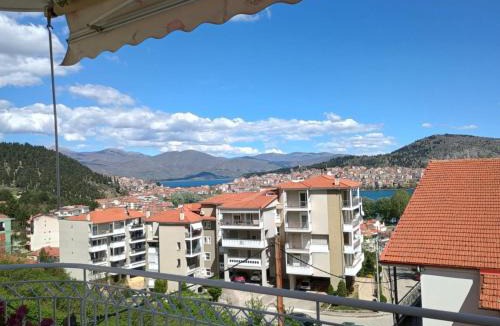 Karpenisi Apartment | Αλόη