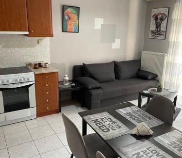 Serres Apartment | Διαμέρισμα με θέα σε πάρκο!
