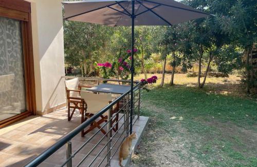 Therma Apartment | Ενοικιαζόμενα Έλενα