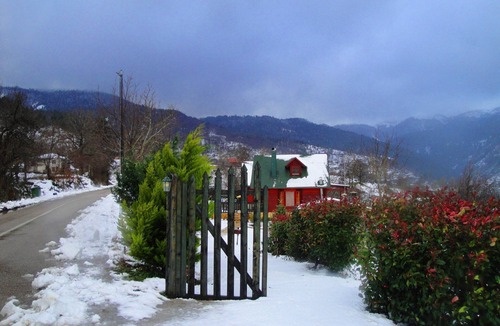 Karpenisi Ski Chalet | Ξύλινο Σαλέ 60 τετραγωνικα μεσα στο δασος σε 1000 υψόμετρο