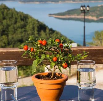 Lake Plastiras House | Χρυσοπελεια - Chrisopeleia Lake View