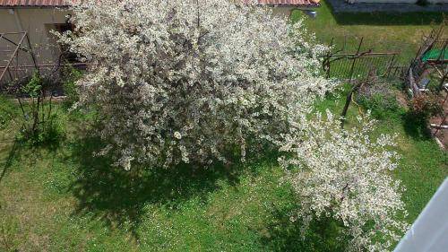 Karpenisi Bed & Breakfast | 18 m² Bed and breakfast ∙ 3 guests