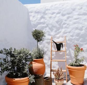 South Rhodes Apartment | 1919's Studio