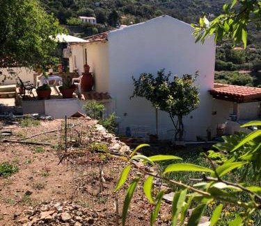 Amigdalokefali Apartment | 35 m² Apartment ∙ 1 bedroom ∙ 3 guests