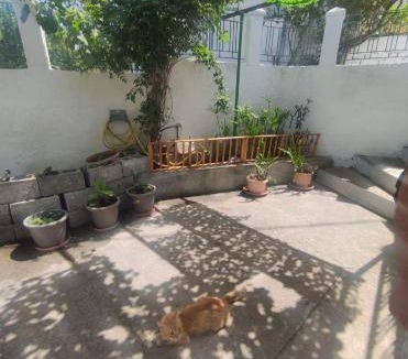 Trikeri Apartment | 45 m² Apartment ∙ 2 bedrooms ∙ 3 guests