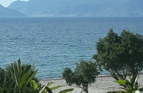 Mastichari Apartment | 45 m² Apartment ∙ 4 guests