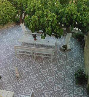 Kissamos Apartment | 50 m² Apartment ∙ 1 bedroom ∙ 4 guests