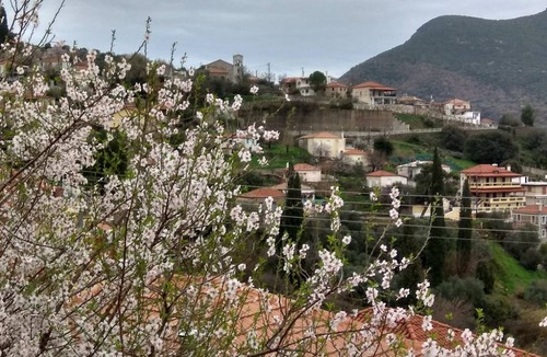 Messaia Other | 60 m² Shared room ∙ 1 bedroom ∙ 3 guests