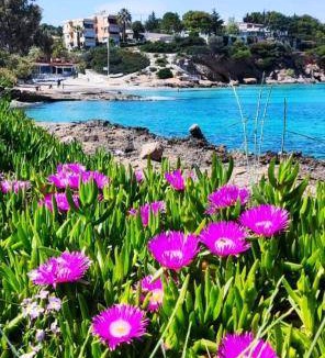 Ormos Agiou Ioannou Apartment | 65 m² Apartment ∙ 2 bedrooms ∙ 5 guests