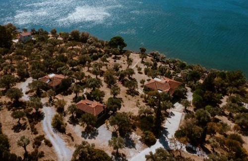 Mytilene Villa | A Luxury Seafront Villa with amazing ambience and view