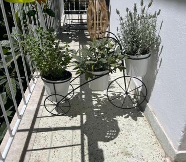 Goudi Apartment | Alex’s home next to Laiko