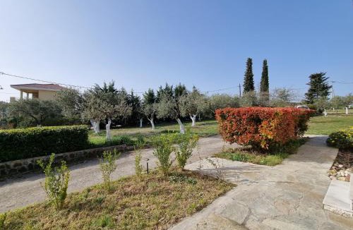 Paliouri Villa | Alivia Garden