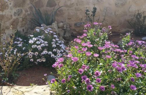 Gortyna House | Amazing Stone Villas