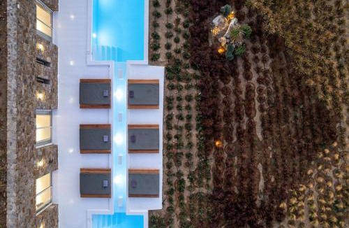 Ftelia Villa | Amuse Villa Mykonos