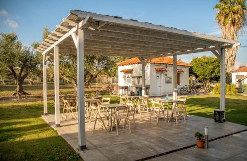 Messini Apartment | Anastasios Olive Garden Apartments