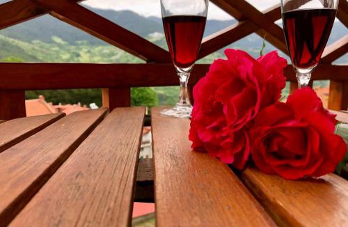 Metsovo Hotel | Apostolos Hotel